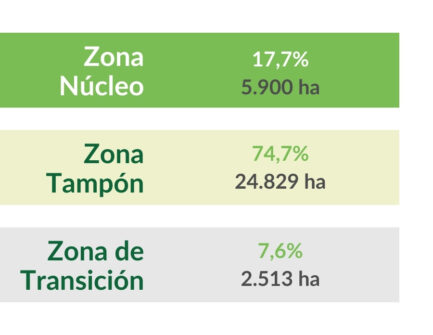 zonificacion porcentajes y ha argüellos zonificacion porcentajes y ha argüellos