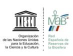 Unesco logo