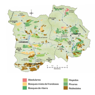 mapa vegetacion los argüellos mapa vegetacion los argüellos