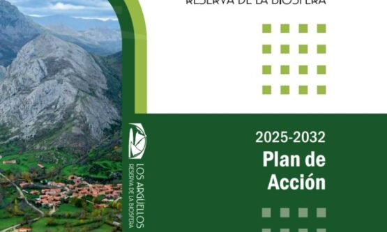 noticia nuevo plan de acción RB
