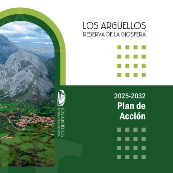 noticia nuevo plan de acción RB