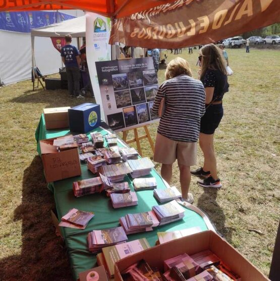 stands promocionales los arguellos